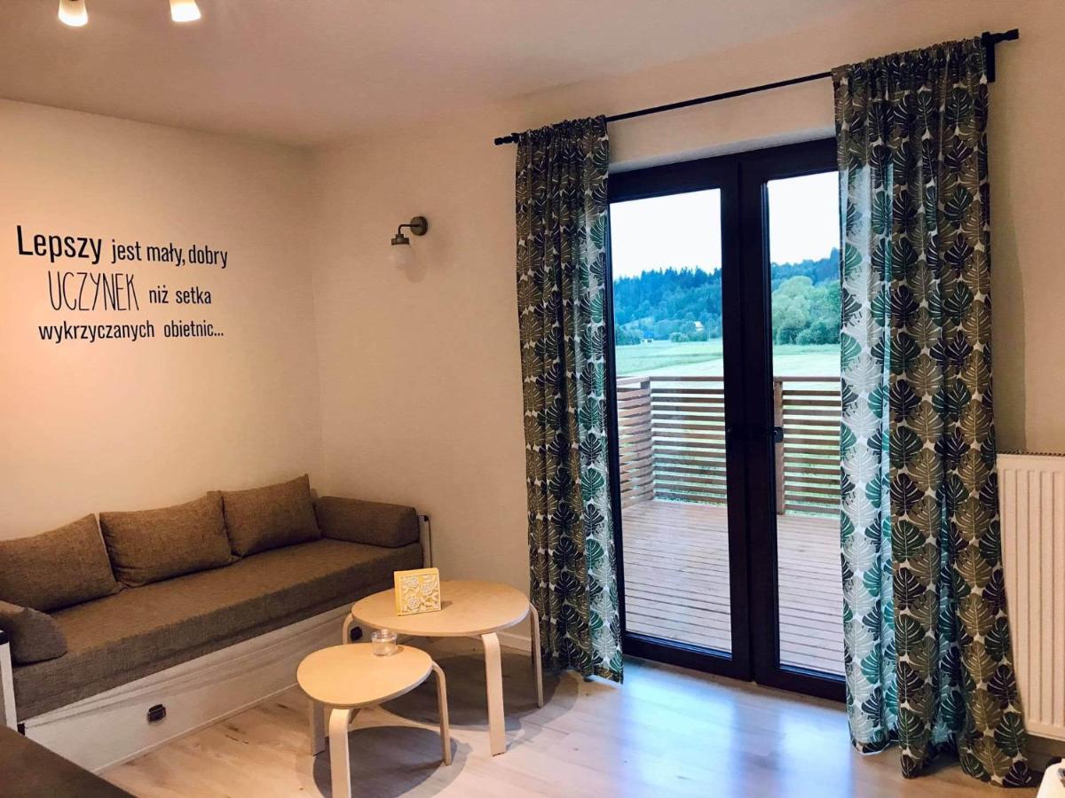 Apartament Przy Potoku Zubrzyca Gorna Exteriér fotografie
